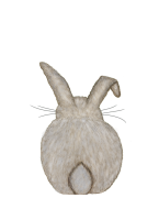 Hase